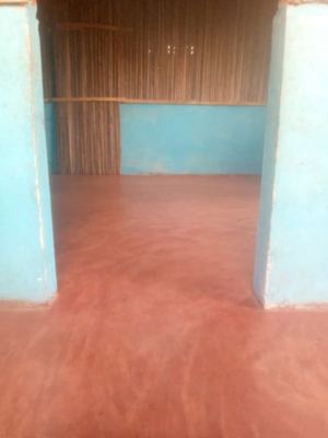 Sary 2